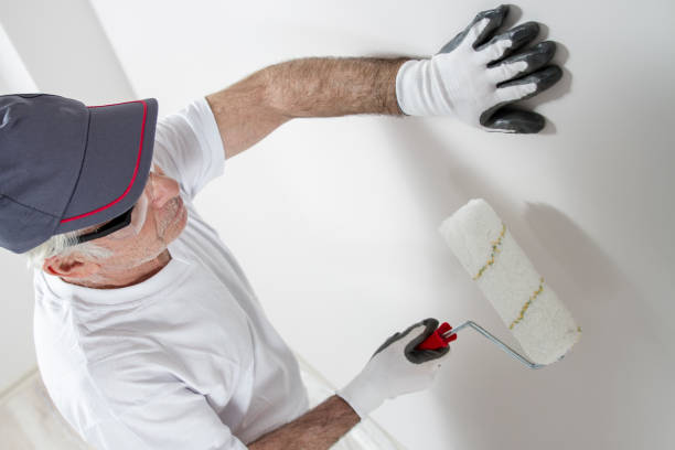 Best Drywall Removal and Disposal  in Pollock Pines, CA